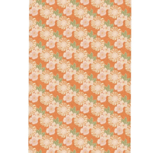 TOILE DE TRANSAT / CHILIENNE THAIS MANDARINE