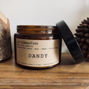 Bougie Dandy - Note verte, musc cèdre & fruits rouges